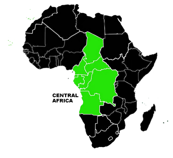 Forêt dense et luxuriante symbolisant les ressources de l'Afrique Centrale
