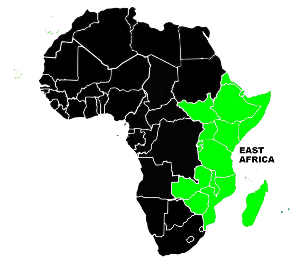 Paysage urbain moderne avec un focus sur la technologie en Afrique de l’Est